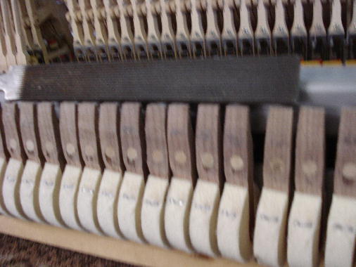 24 With file roughen tips of tails 24 With file roughen tips of tails